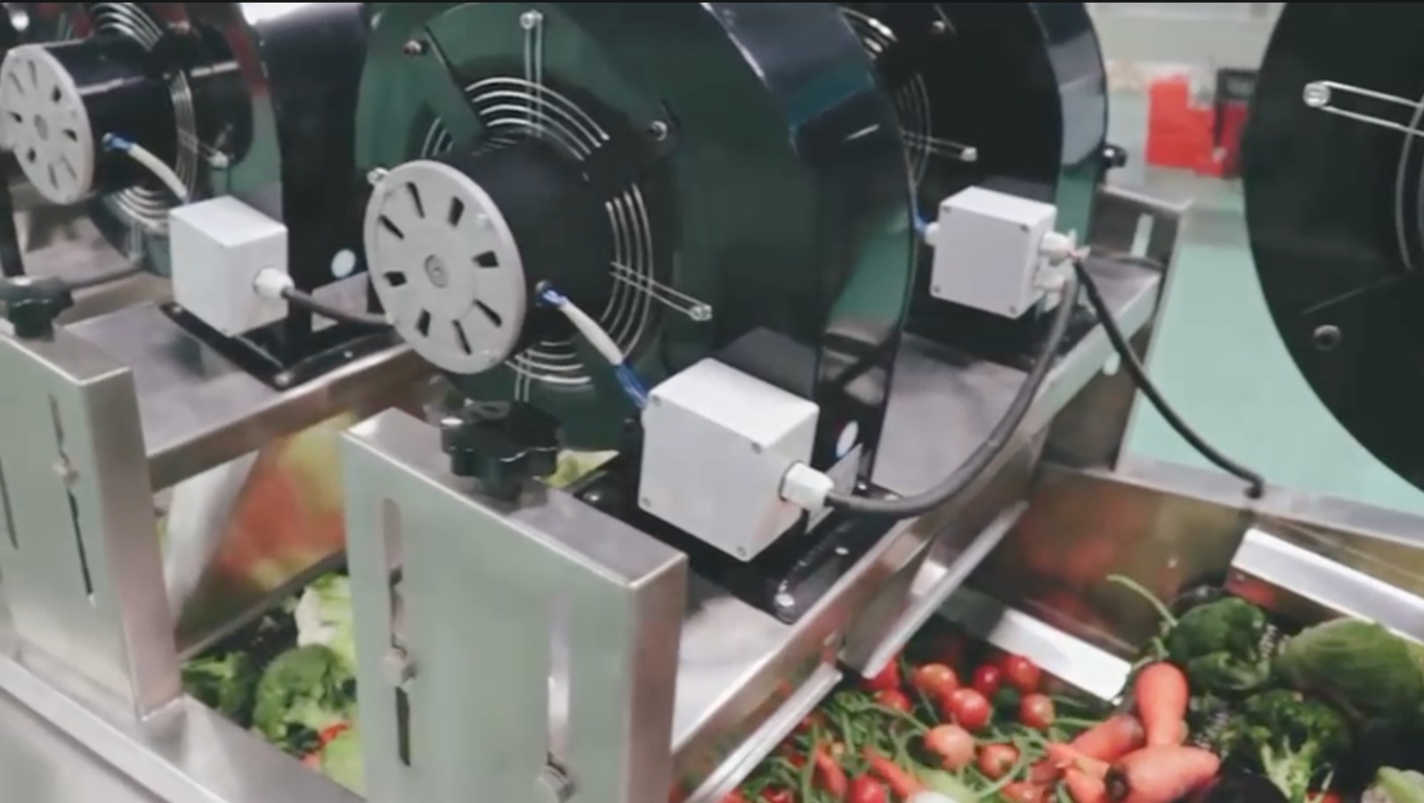 WhatsApp Image 2025-07-31 at 11.53.13 AM.jpeg